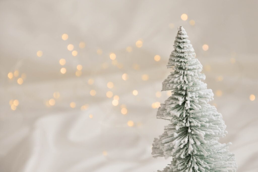 Sesión de fotos de Navidad en Martorell, Barcelona